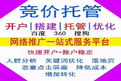 SEM广告投放策略：成功案例解析